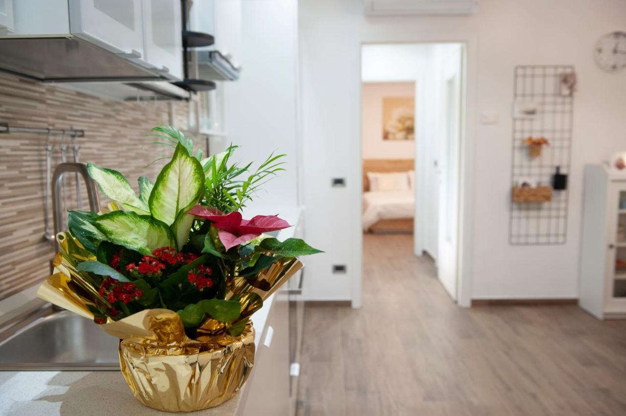 Sungarda Apartment مونزامبانو المظهر الخارجي الصورة